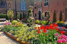 Voorjaar in Enkhuizen!