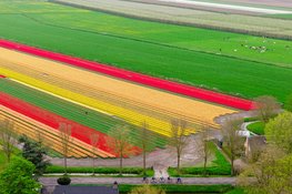 Typisch Hollandse omstandigheden tijdens lenteklassieker Ronde van Noord-Holland