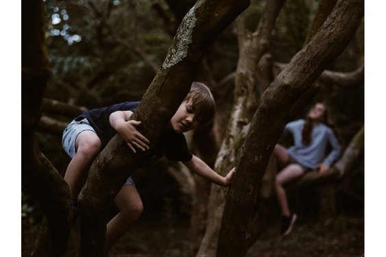 Activiteiten zomervakantie bij Hertenkamp Enkhuizen