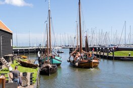 Visafslag tijdens Maritieme Week in het Zuiderzeemuseum