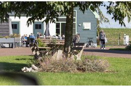 Vacature bij WarmThuis: GZ Psycholoog (24-28 uur)
