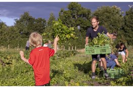 Na jaren zoeken is de plek gevonden: Herenboeren West-Friesland start in 2027 in Hem
