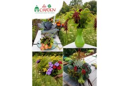 Nog één keer proeven, plukken en oogsten in de Garden