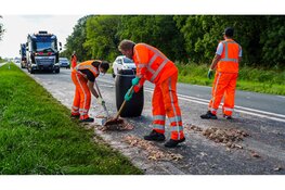 N307 deels afgesloten nadat slachtafval uit vrachtwagen op weg beland