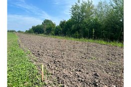 Eerste beplanting in Nijevoert voor ecologische zone