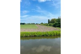 Eerste beplanting in Nijevoert voor ecologische zone