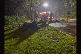 Brandweer verwijdert omgevallen boom van weg in Bovenkarspel