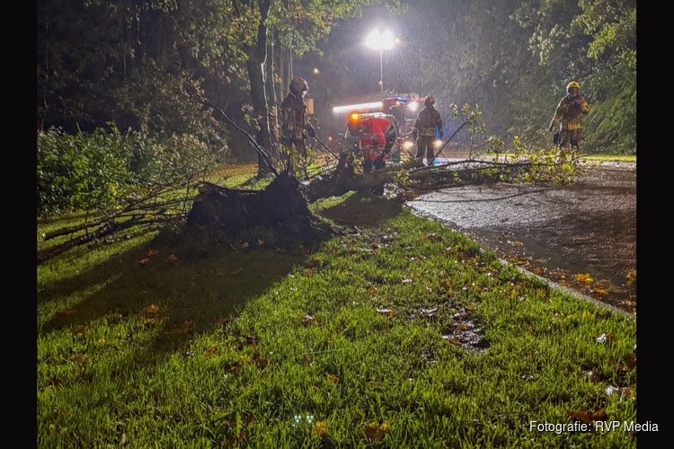Brandweer verwijdert omgevallen boom van weg in Bovenkarspel