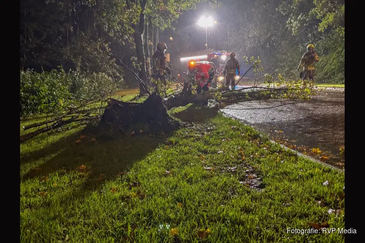 Brandweer verwijdert omgevallen boom van weg in Bovenkarspel