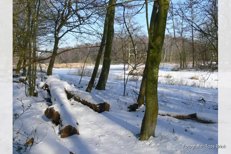 Winterpret met sneeuwvlokken