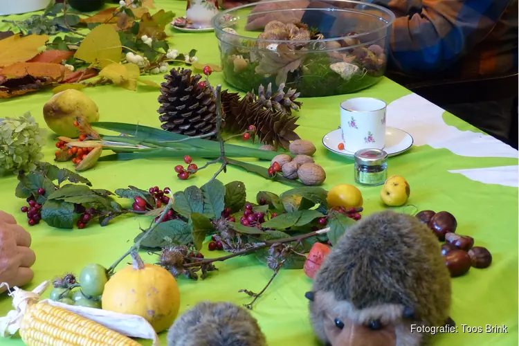 Natuur op bezoek bij ouderen
