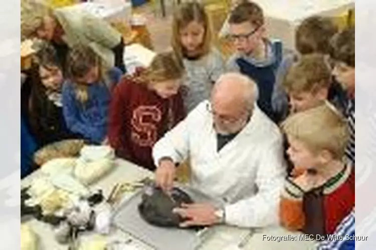 Krokusvakantie in de Witte Schuur