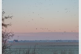 Jacht en bescherming