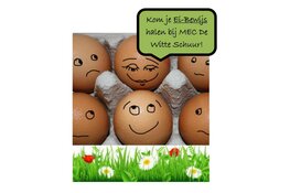 Haal je Ei-Bewijs in één middag!