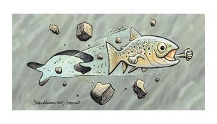 Wereldvismigratiedag 21 april