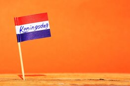 Vlaginstructie