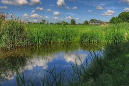 Duurzaam investeren in Noord-Holland