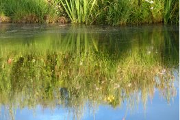 Landelijke IVN slootjesdagen 2018