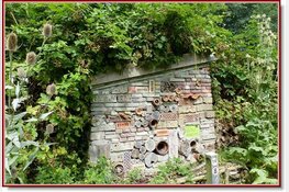 Activiteitenoverzicht  IVN West-Friesland juli t/m september 2018