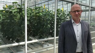 Koninklijk bezoek voor Enza Zaden: "Ik doe een stropdas om en dat doe ik niet zo vaak"