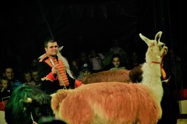 Droom weg bij de tijdloze familieshow van het Internationale Circus Bossle!