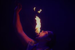 Droom weg bij de tijdloze familieshow van het Internationale Circus Bossle!