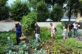 September oogstmaand in het Zuiderzeemuseum