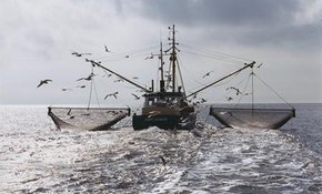 Afspraken over minder visvangst in IJsselmeer