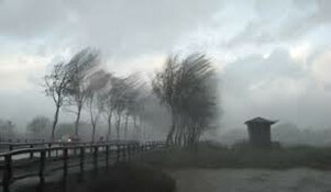 Herfst trapt af met ronduit onstuimige dag: code geel op herhaling