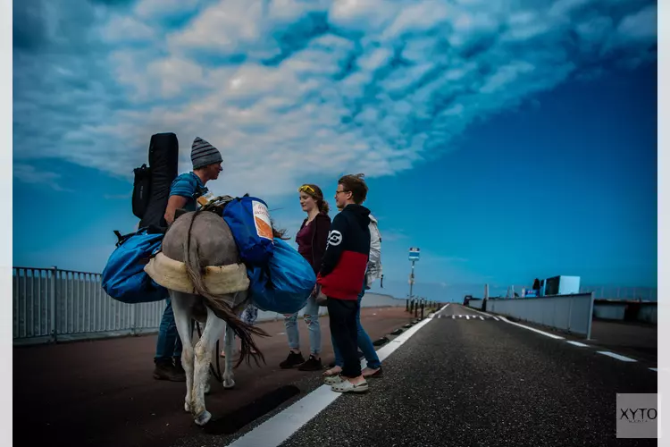 Tjerk Ridder – ‘Bonne route &#39; – Verslag van een reiziger met zijn ezeltje lodewijk