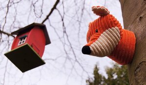 jeugdvoorstellingen tijdens de herfstvakantie in de Drommedaris