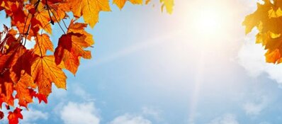 Onverwachte &#39;hitte&#39; op komst: &#39;Warmterecord voor november kan sneuvelen&#39;