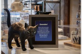 Zuiderzeelicht verbindt museum en ondernemers