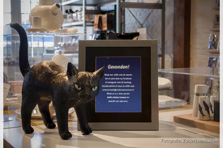 Zuiderzeelicht verbindt museum en ondernemers