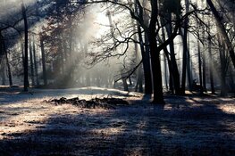 Toezicht in natuur- en stiltegebieden Noord-Holland krijgt 1.3 miljoen euro