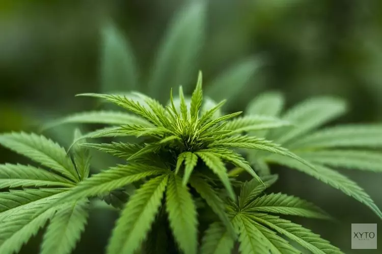 Burgemeester Van Zuijlen sluit drugspand