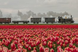 De stoomtram gaat weer rijden vanaf 30 maart