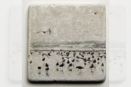 Expositie: ‘Beestjes’ bij  galerie Onopgemerkte Schatten