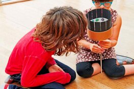 Maak je eigen zoötroop!