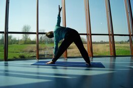 Groei voor Bamboeyoga in de Molshoop