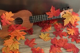 Muziek op Schoot voor peuters en kleuters