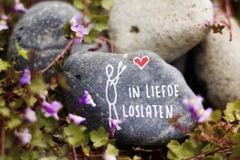 Creatieve ochtend bij Pisa in Enkhuizen