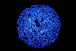 Onthulling holocaustmonument Levenslicht Enkhuizen